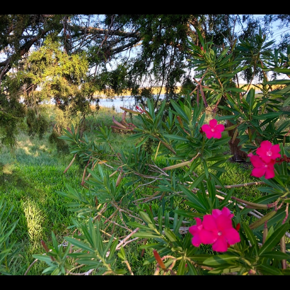 Meet your Posher, Barb - Picture 2 of 6